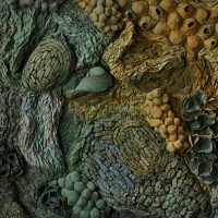 <a href=https://www.galeriegosserez.com/gosserez/artistes/l-c-lab.html> L&C Lab</a> - Biomater - Free Shape I